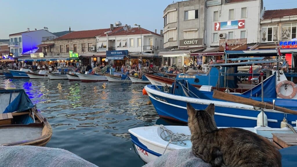 Eski Foça Limanı — fotoğraf 1